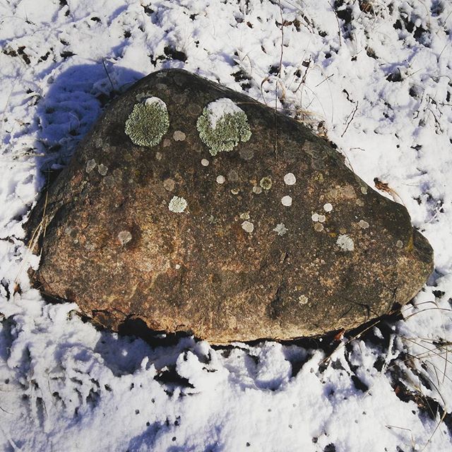 Just a cute stone