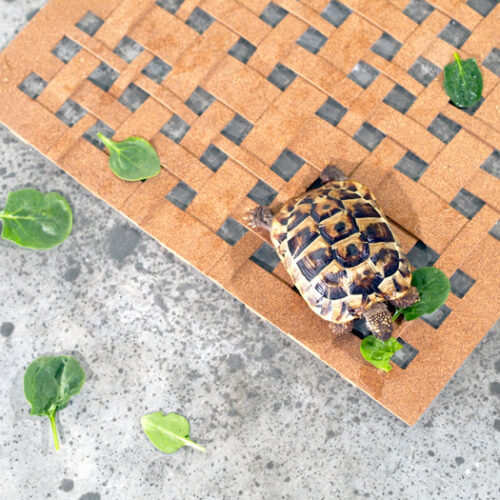 Cork Weave